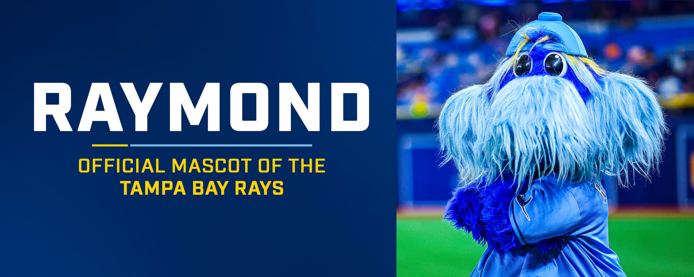 Raymond: Official Mascot of the Tampa Bay Rays