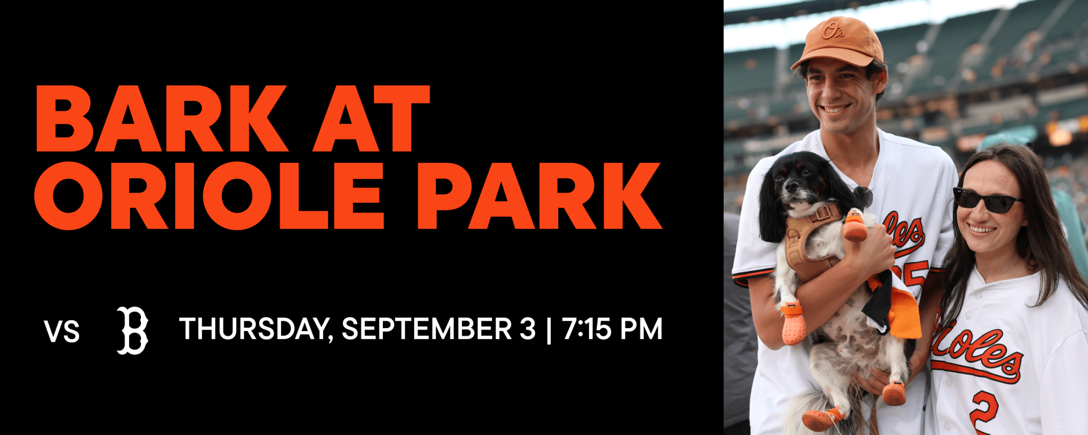 Bark at Oriole Park