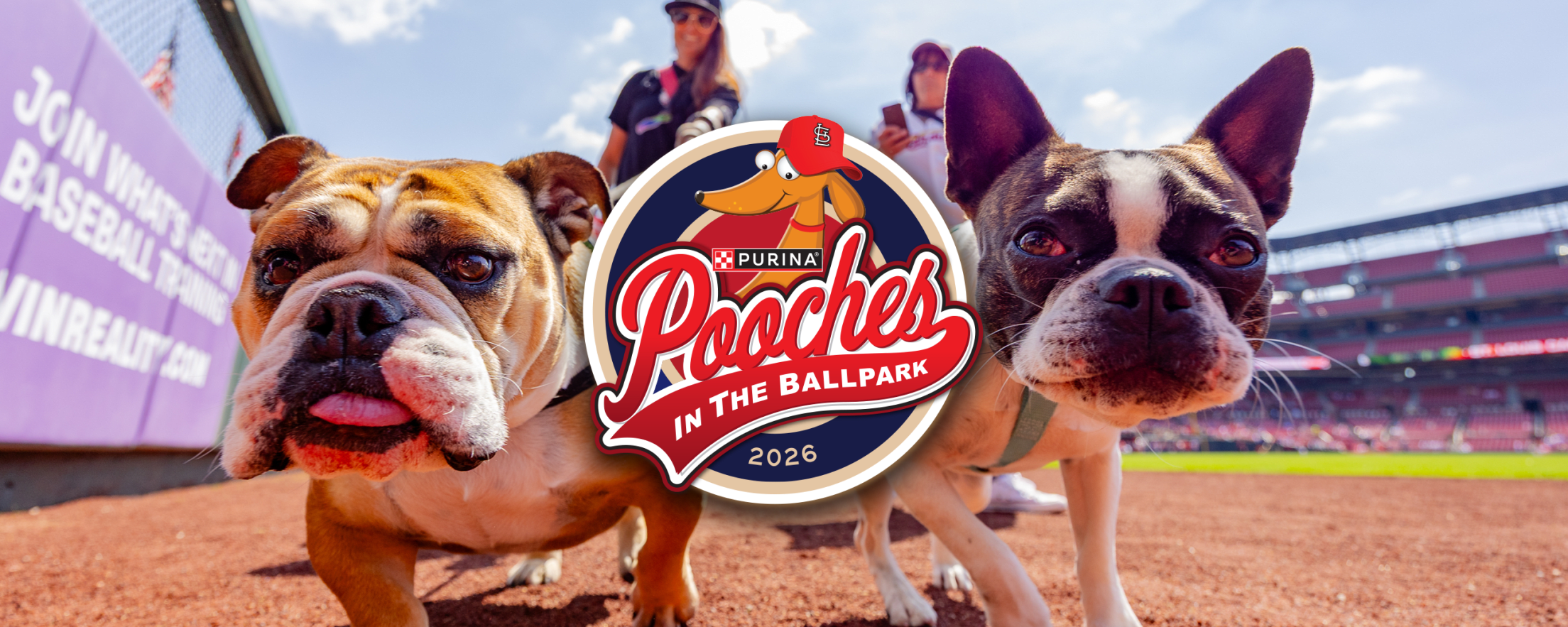 Purina Pooches in the Ballpark