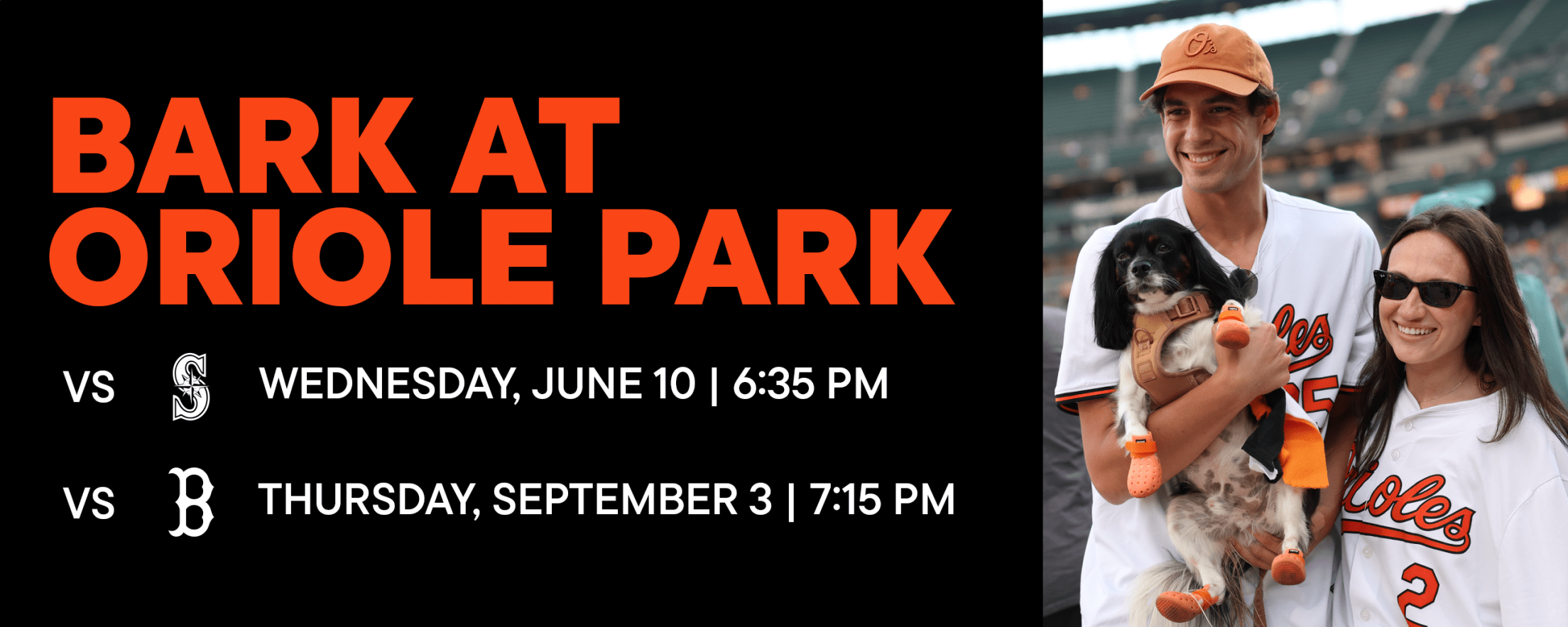 Bark at Oriole Park