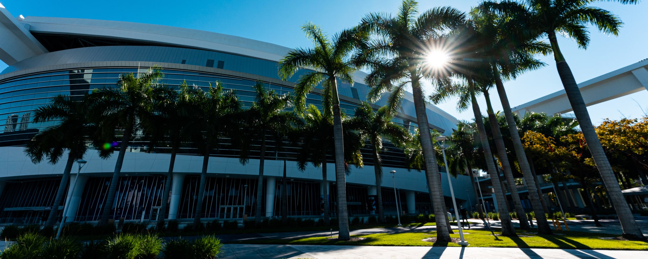 loanDepot park exterior with palm trees