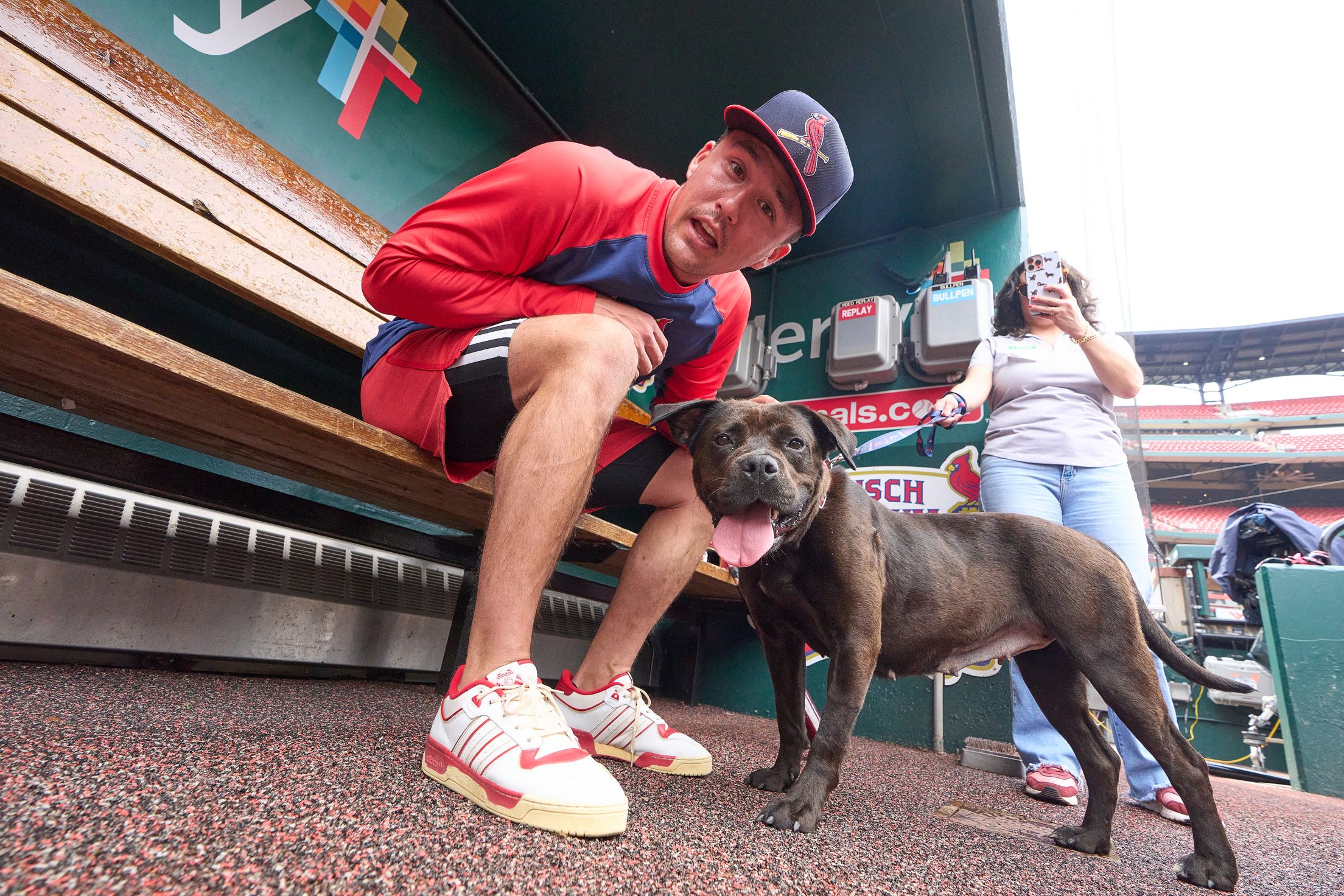 Purina Pooches in the Ballpark