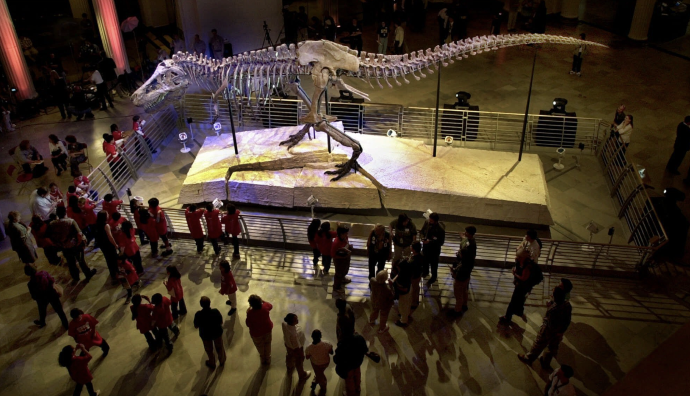Field-Museum-dinosaur-visitors