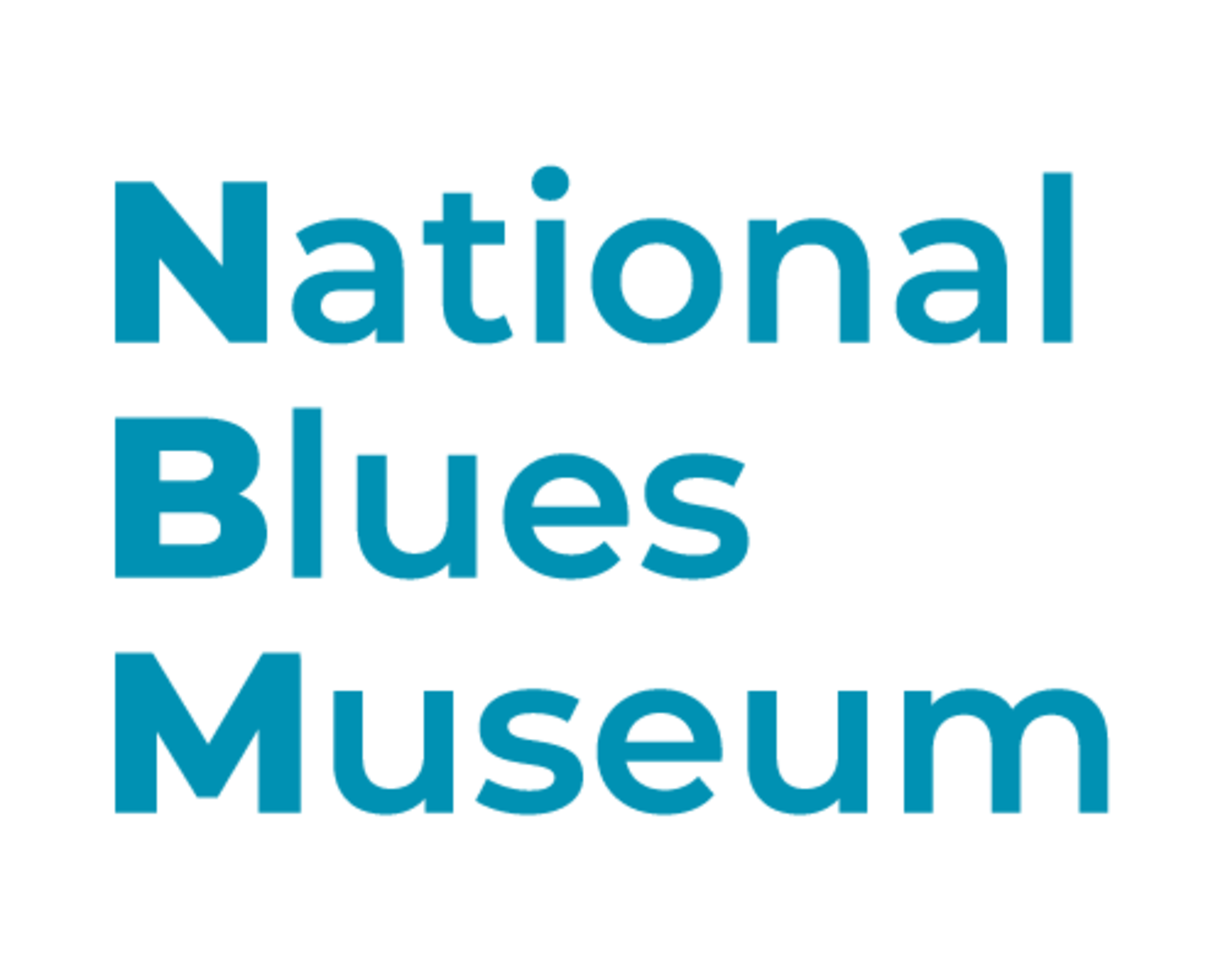 national blues museum