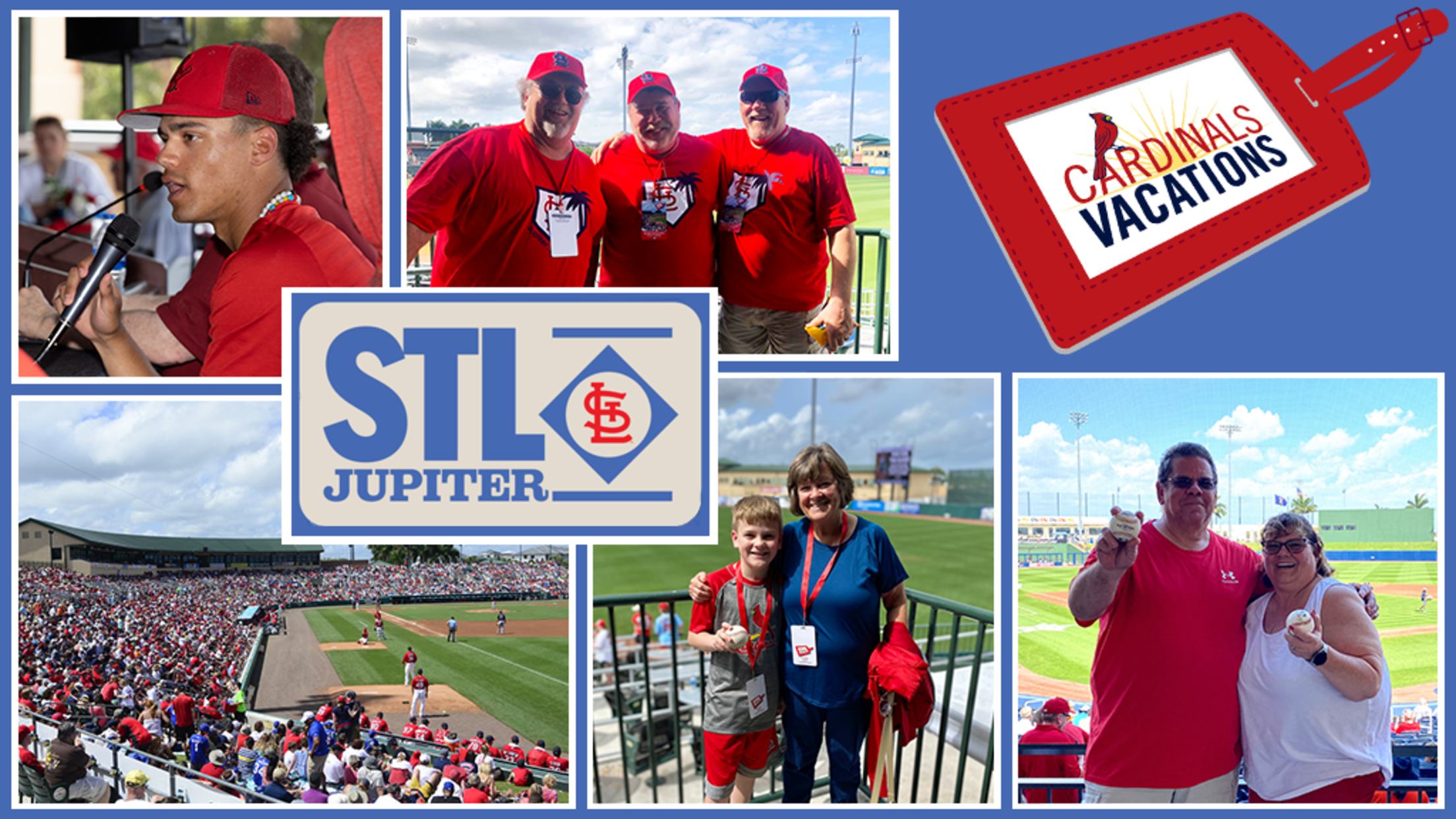 Cardinals Vacations Spring Training Road Trip