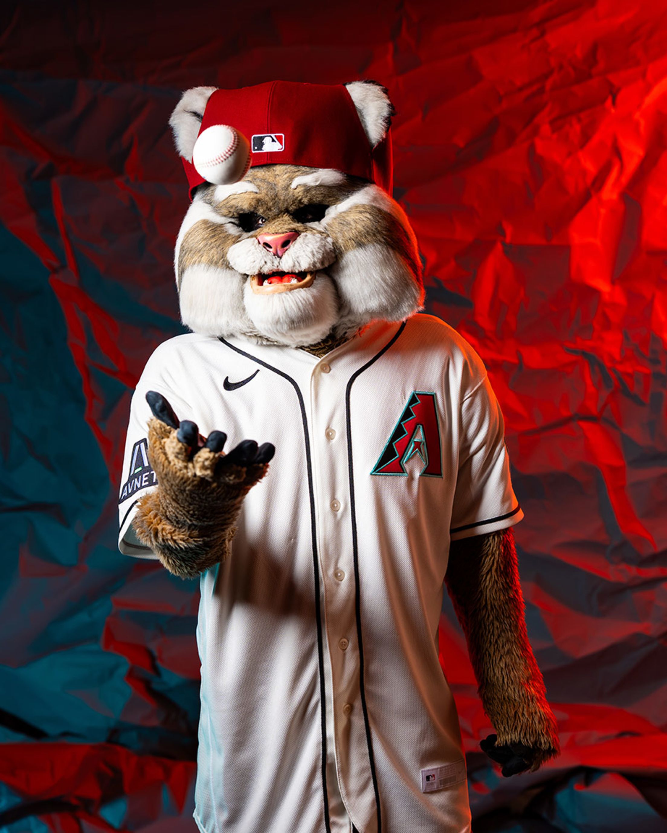 Baxter the Bobcat