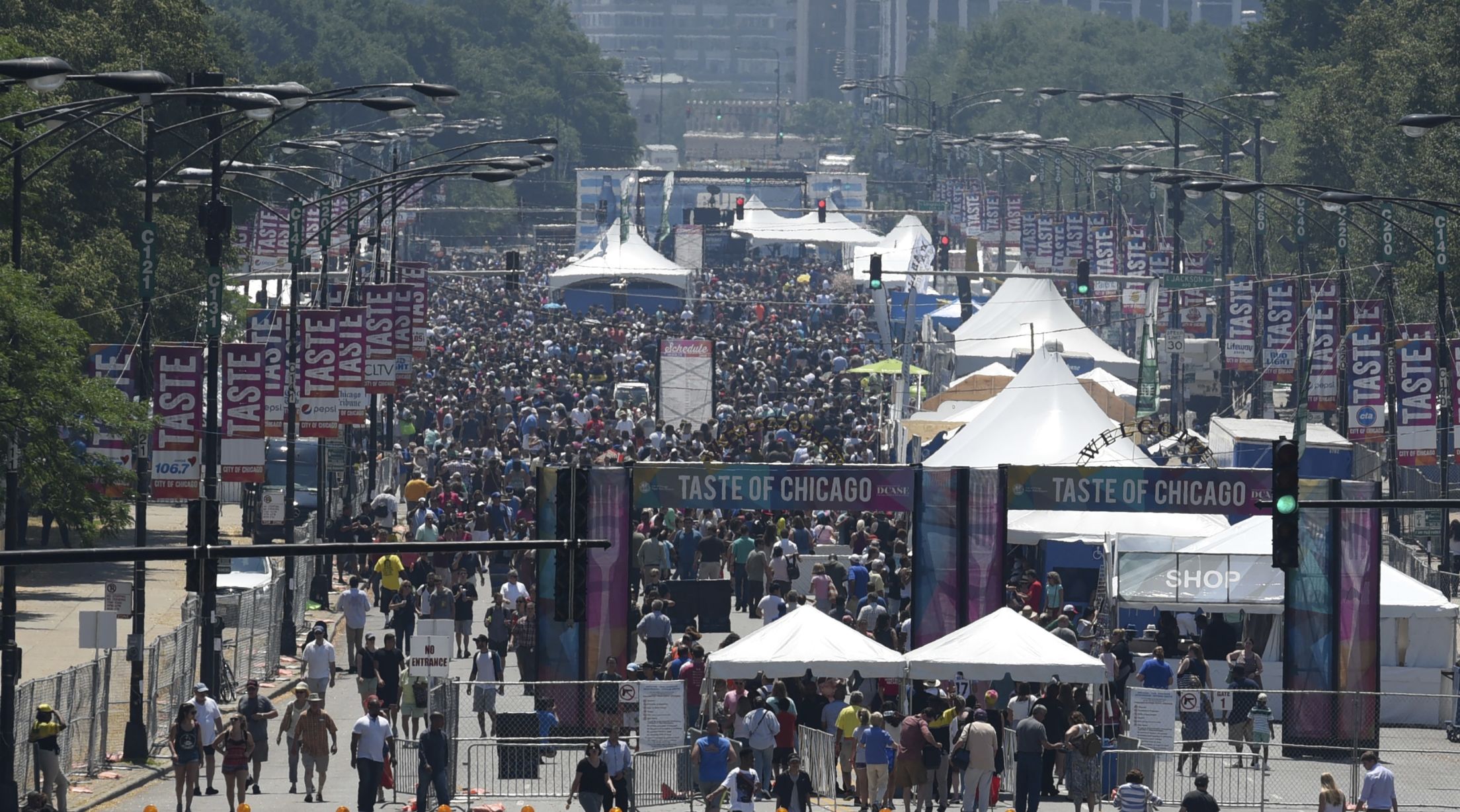 taste-of-chicago-festival-crowd