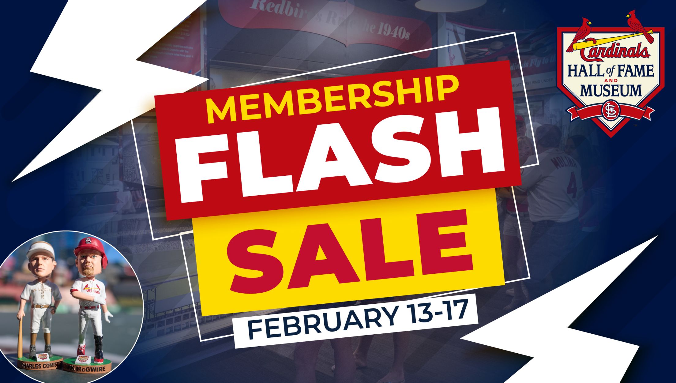 Museum Membership Flash Sale
