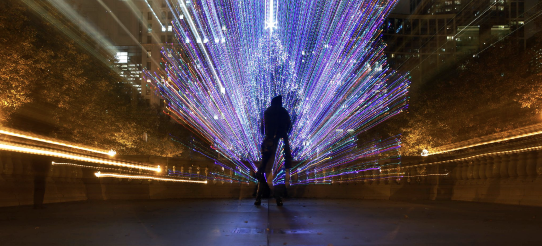 chicago-christmas-tree