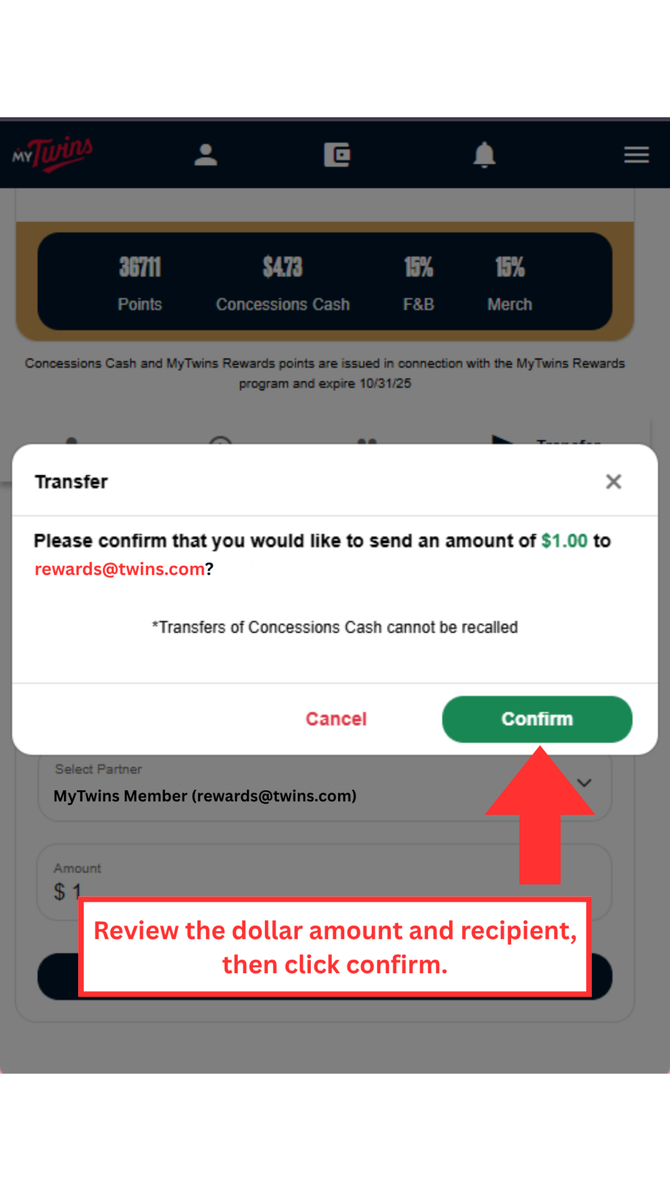 Review the dollar amount and recipient, then click confirm.