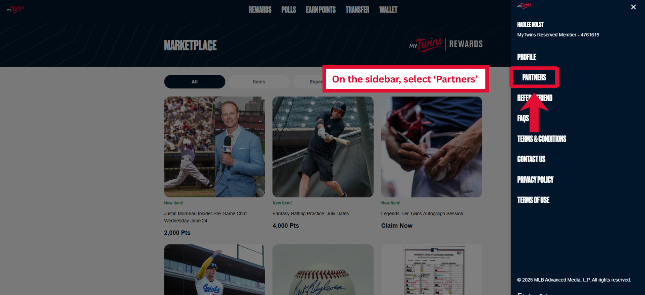 On the sidebar, select 'Partners'