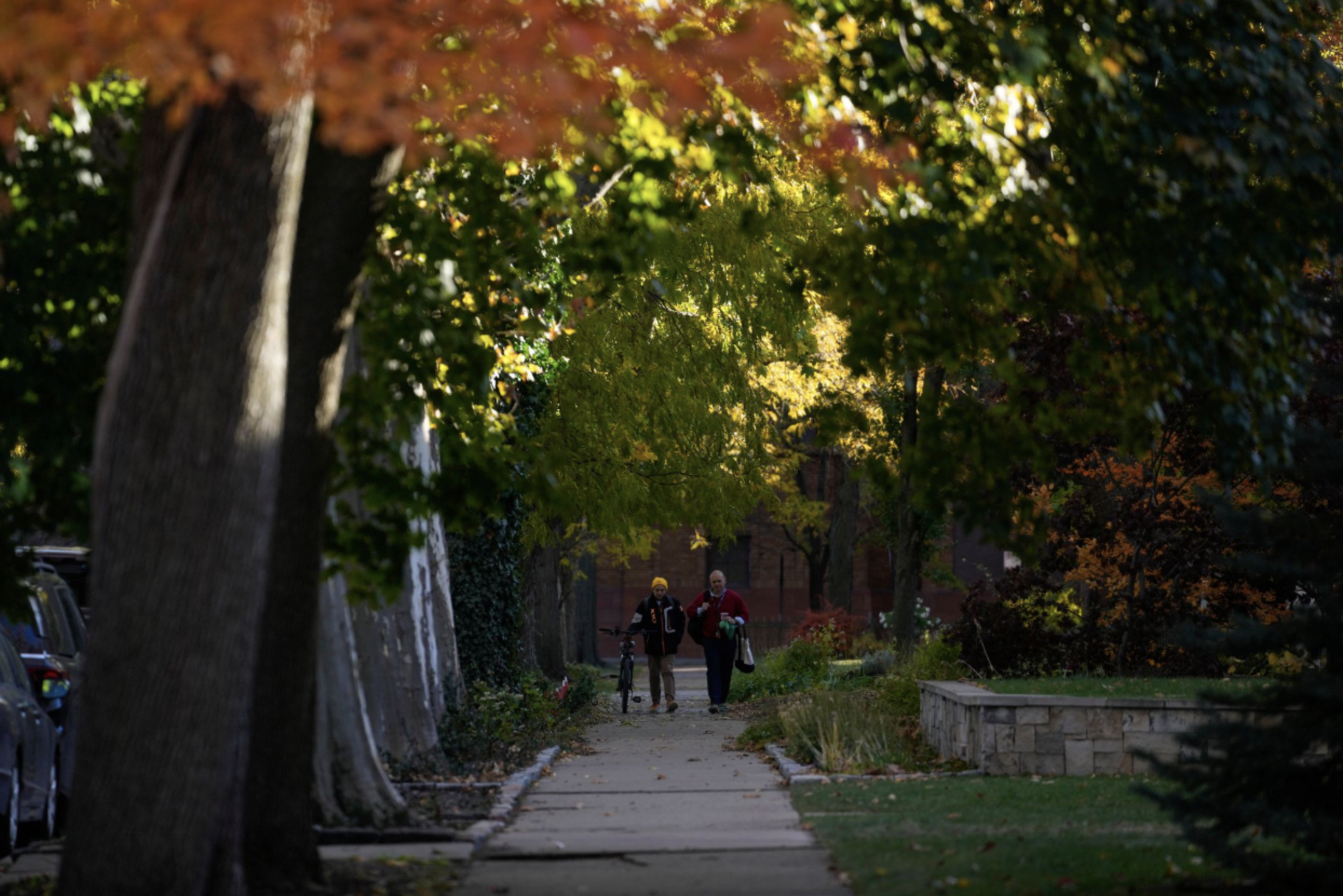 autumn-tree-lined-chicago-path