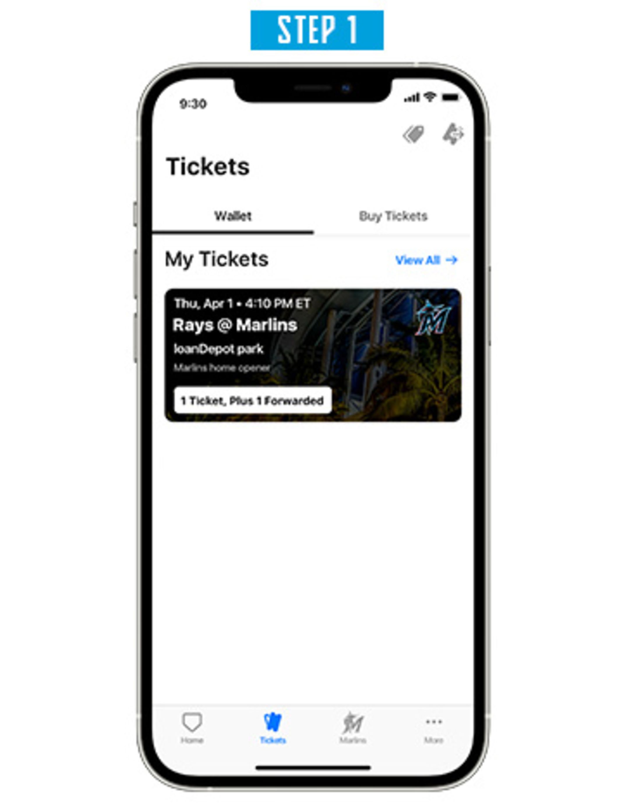 MIA - Entradas Digitales - Paso 1 para Acceder a las Entradas