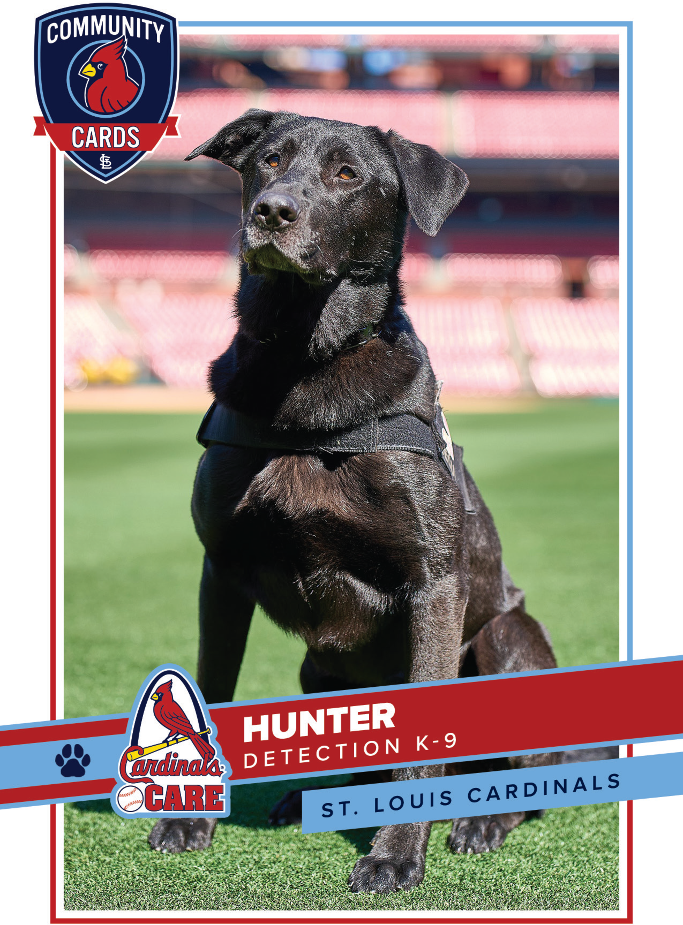 2026 Community Cards Hunter Detection K-9