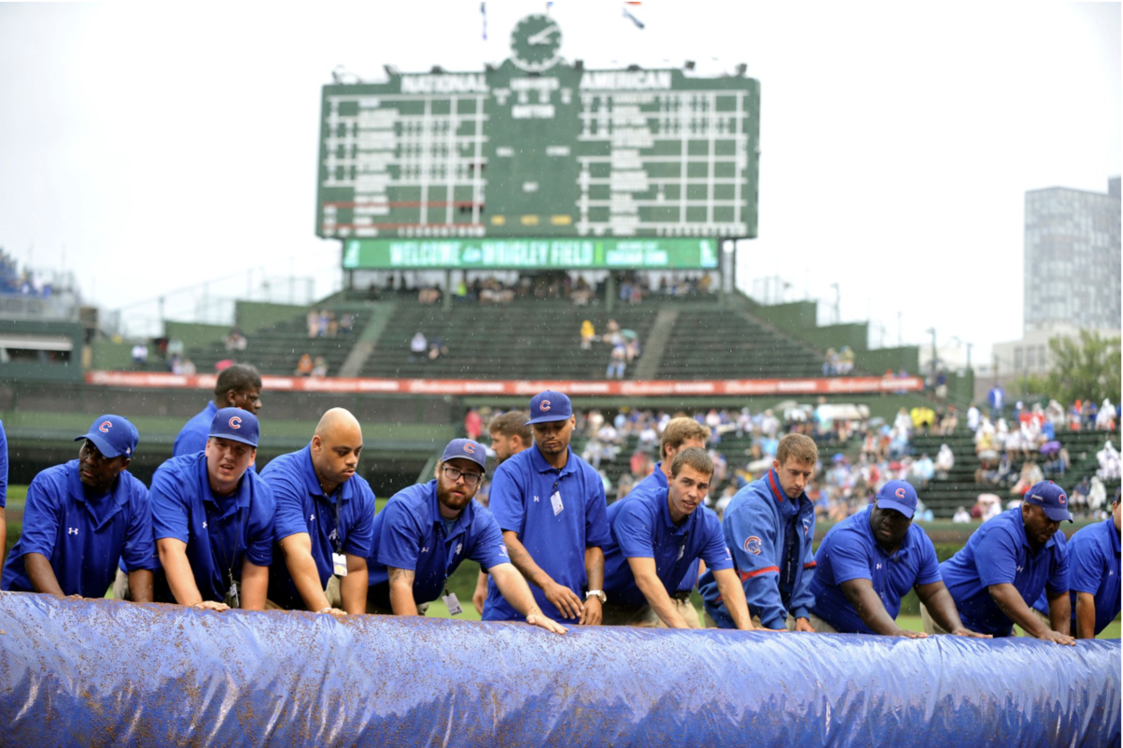 chicago-cubs-team-staff-preparing-field-tarp-at-historic-wrigley-field-stadium