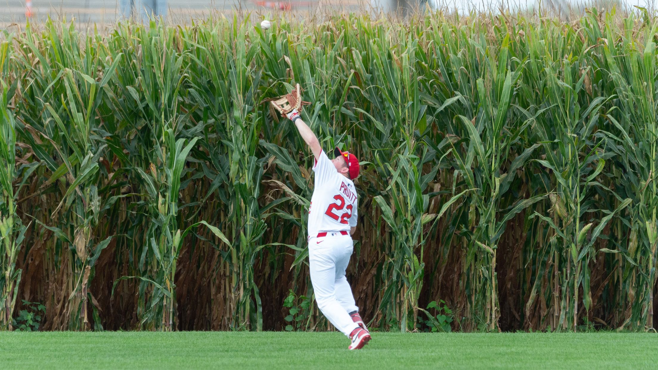 Field of Dreams Fantasy Camp