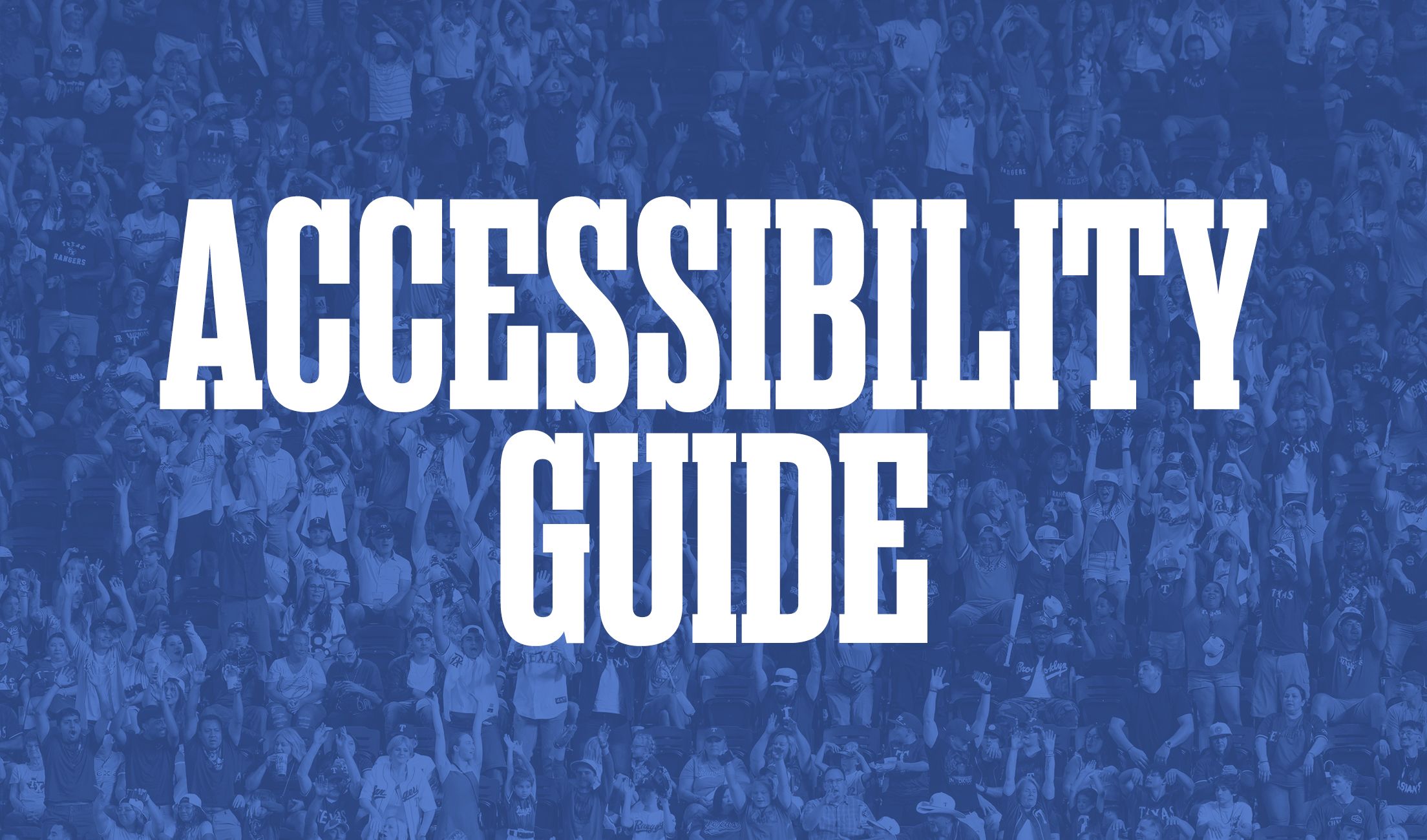 Accessibility Guide