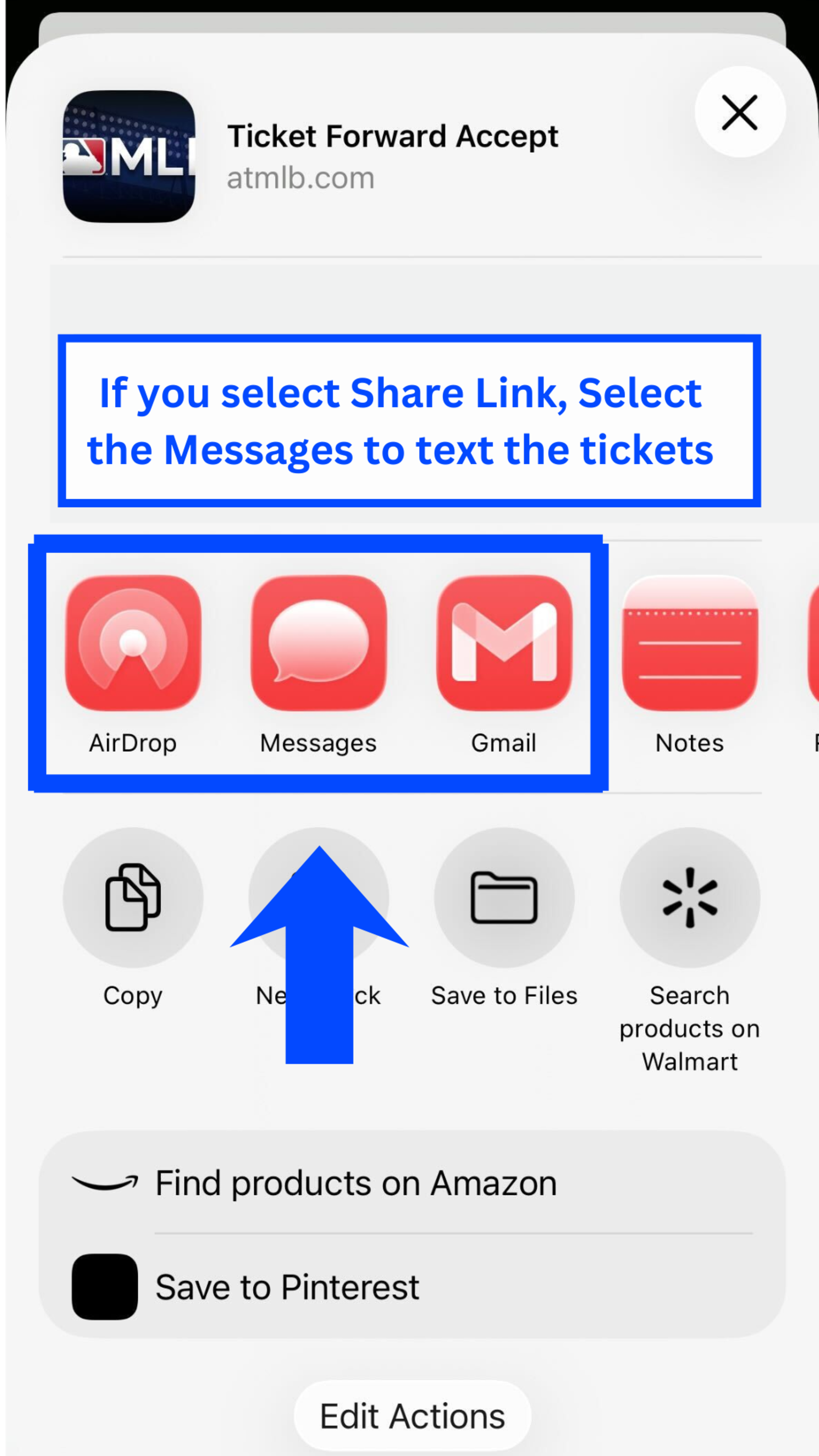 If you select Share Link, Select Messages to text the tickets