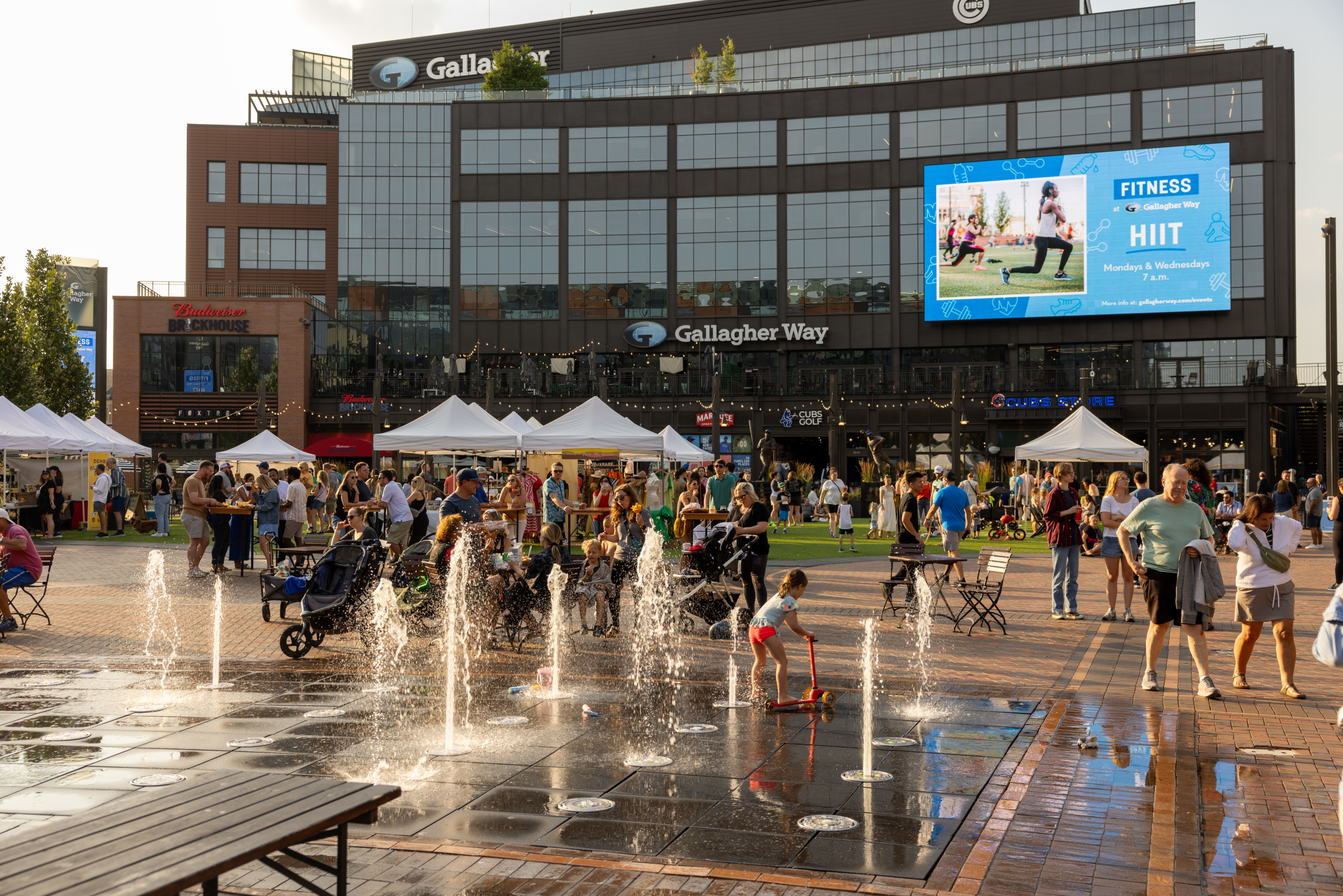 Gallagher-Way-Cubs-fan-event
