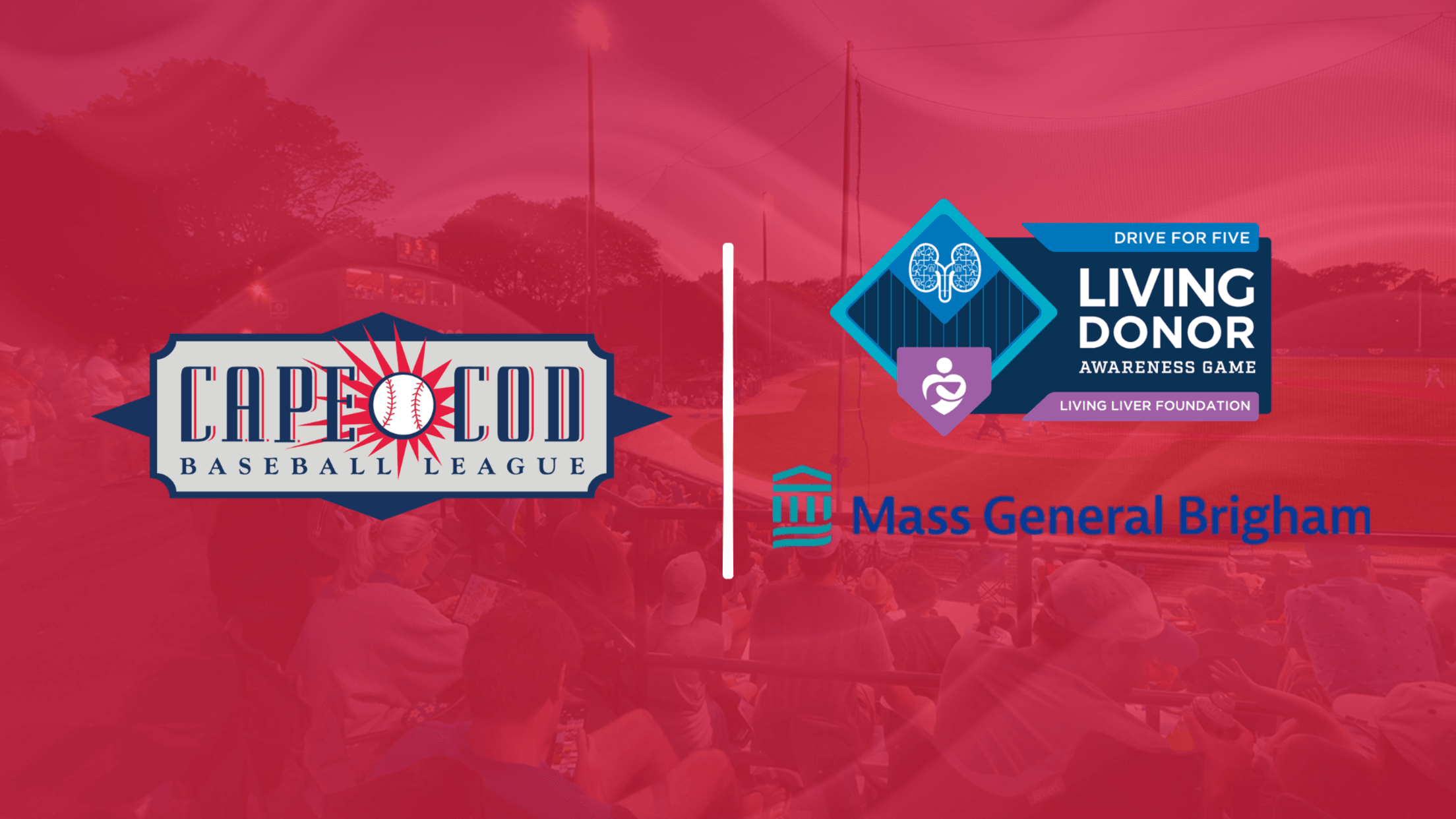 Cape Cod Baseball League to host Living Donor Night at McKeon Park on August 1