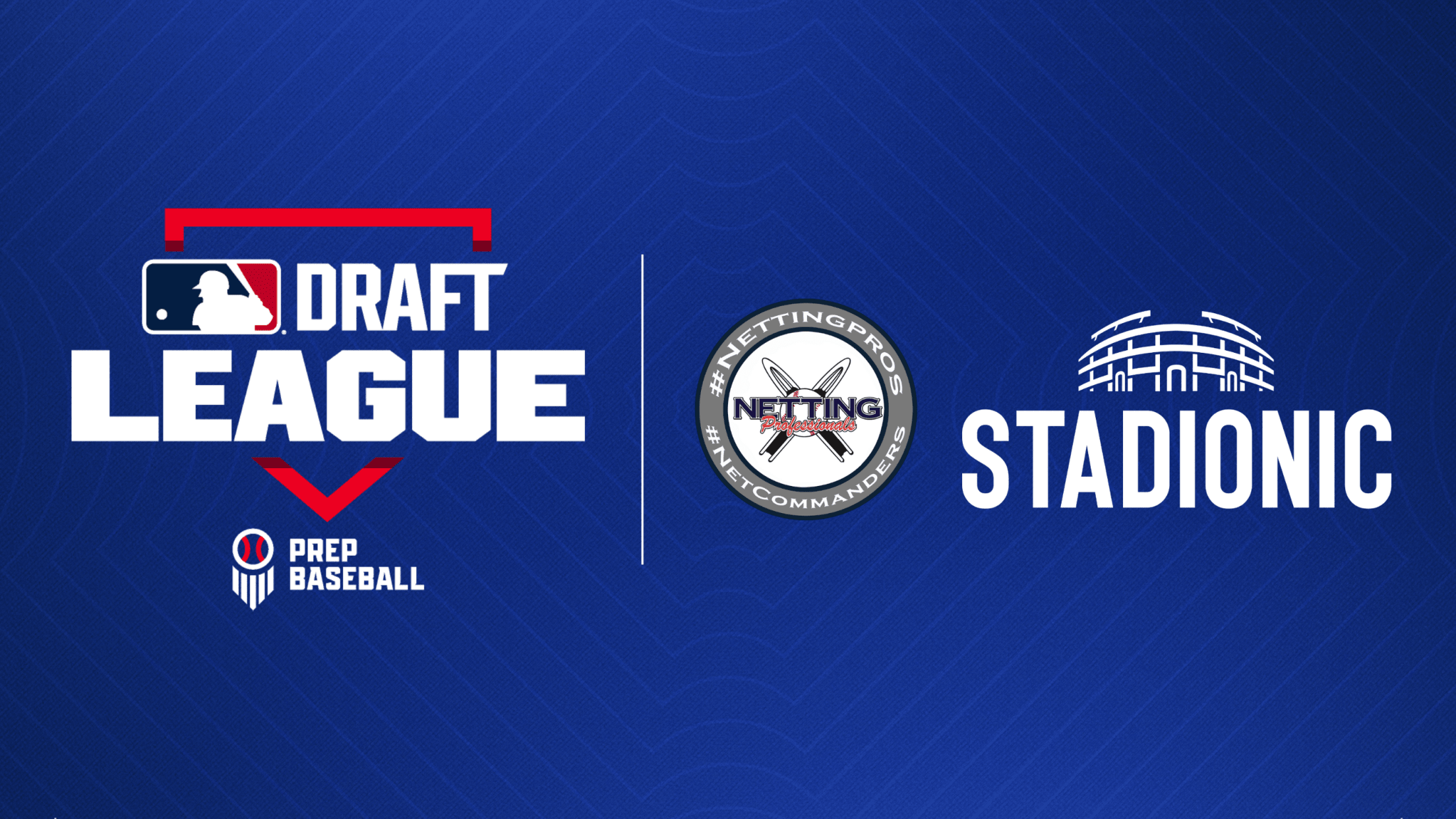 MLB Draft League logo on the left, STADIONIC/Netting Professionals logo on the right.
