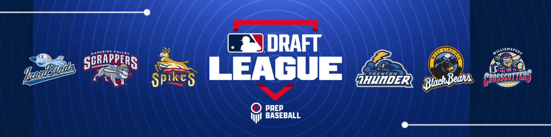 MLB Draft League logo with the six club logos around it (Aberdeen, Mahoning Valley, State College, Trenton, West Virginia and Williamsport)