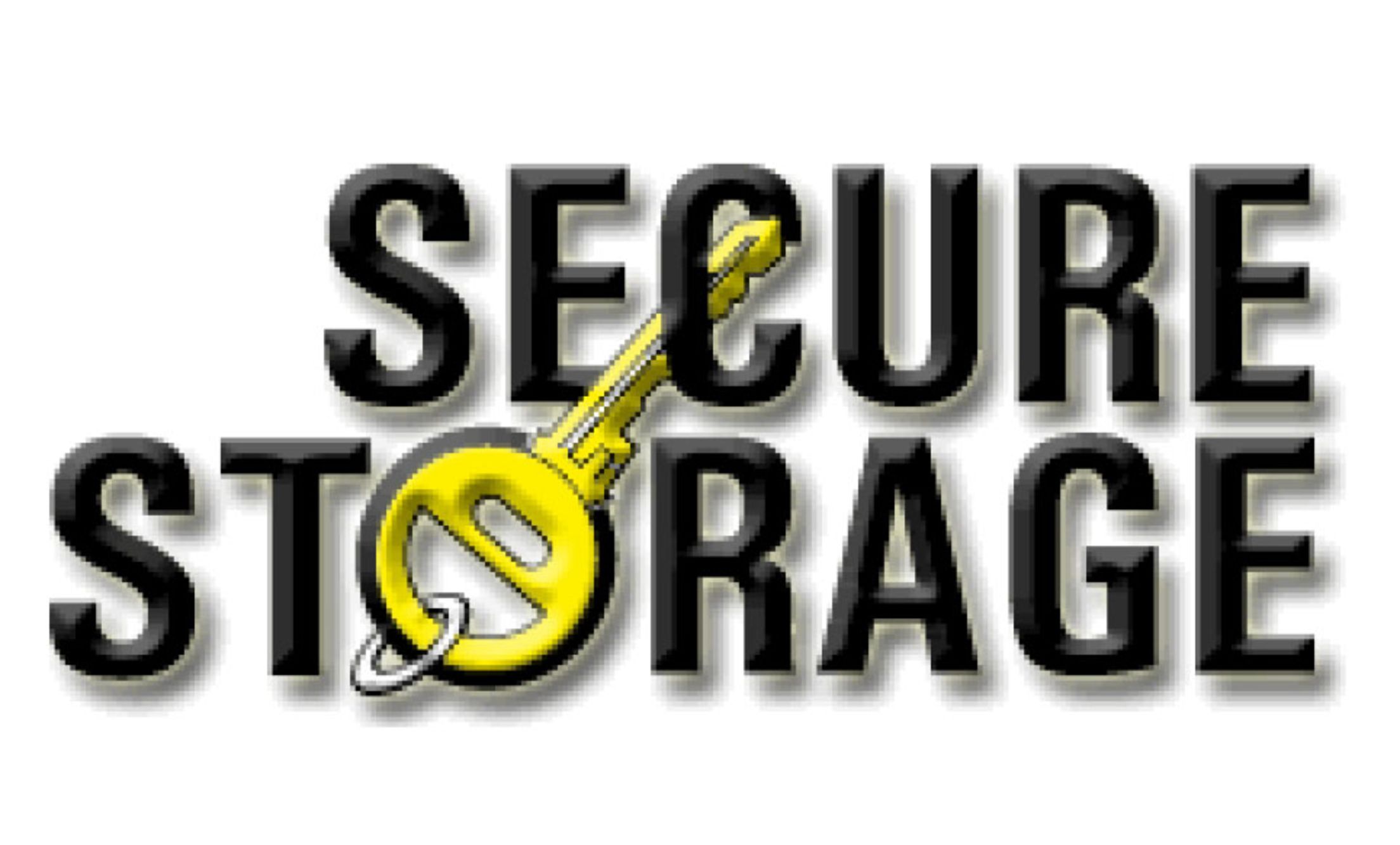 Logo for Secure Storage