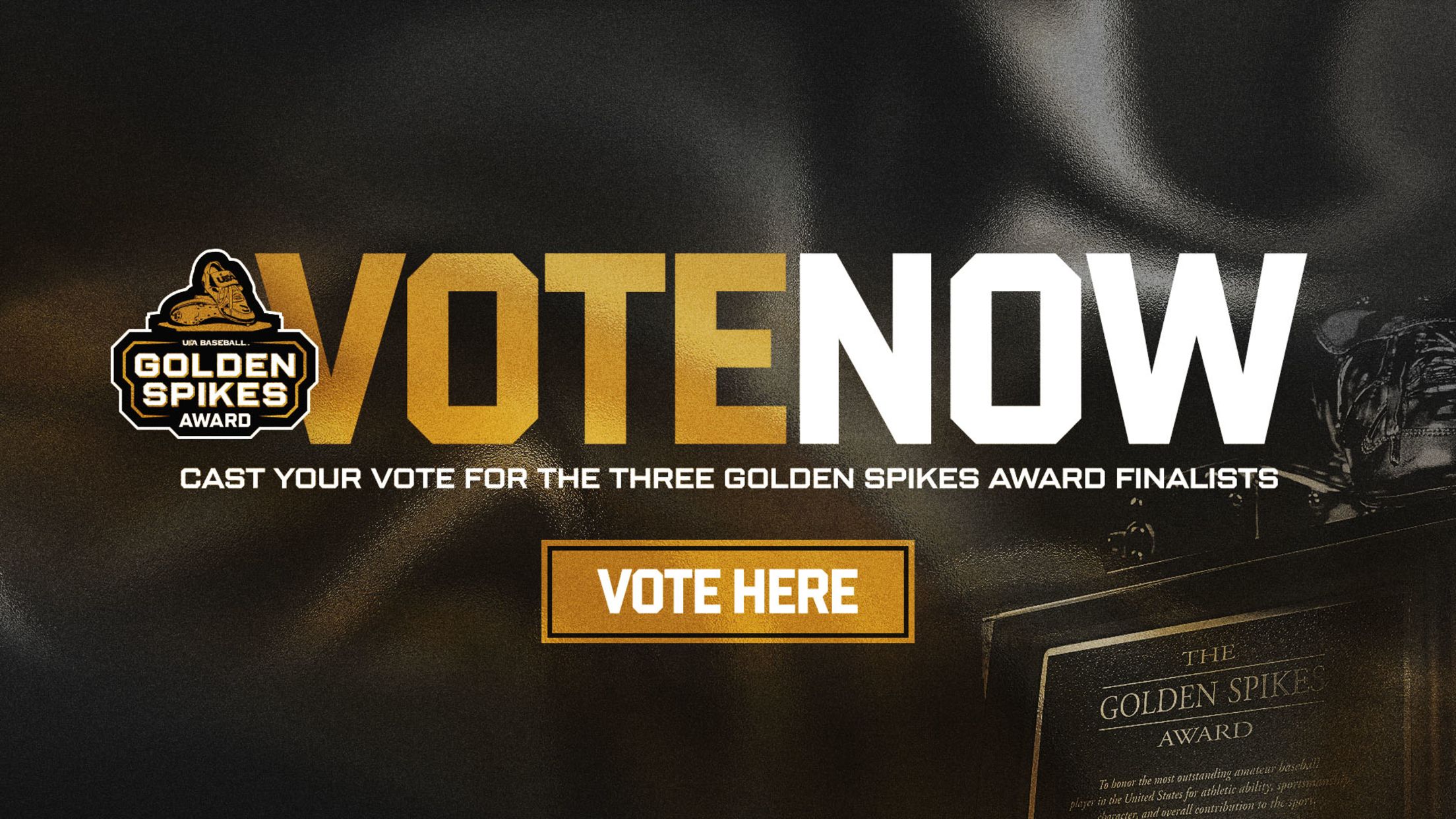 Vote Now for the Golden Spikes Award finalists!