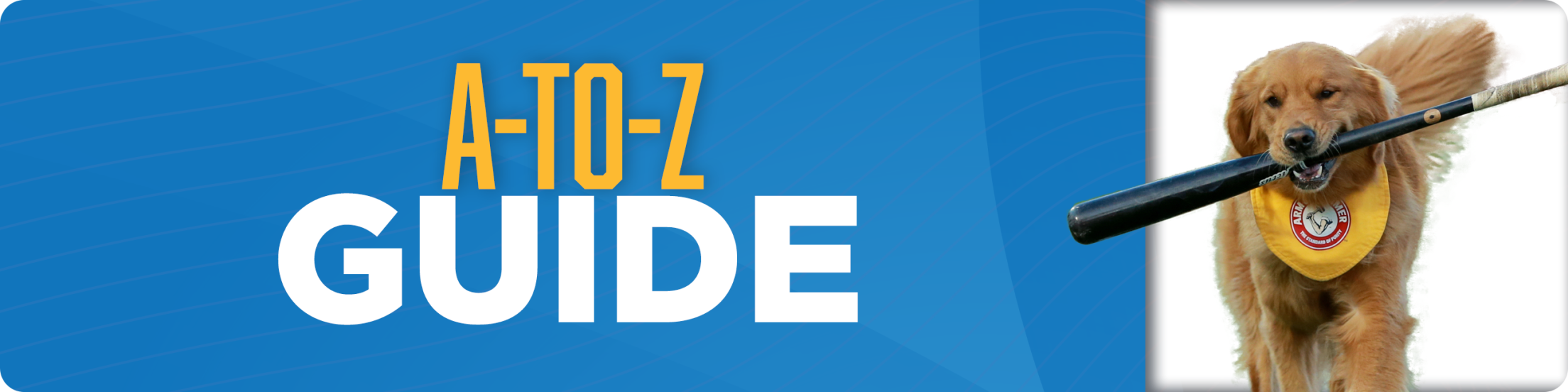 A-to-Z Guide with an image of a bat dog.