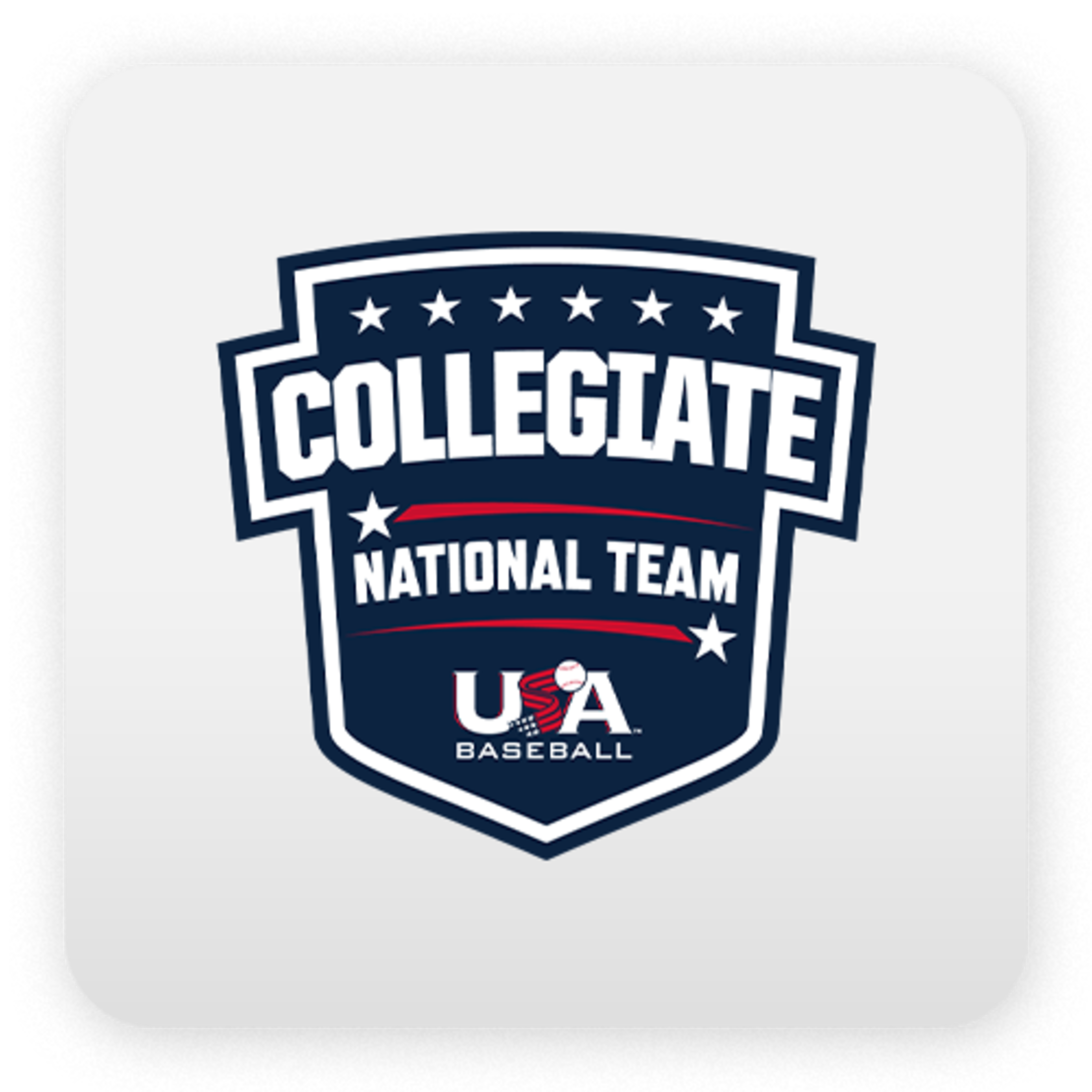 A gray button that has "Collegiate National Team" on it with the USA Baseball logo