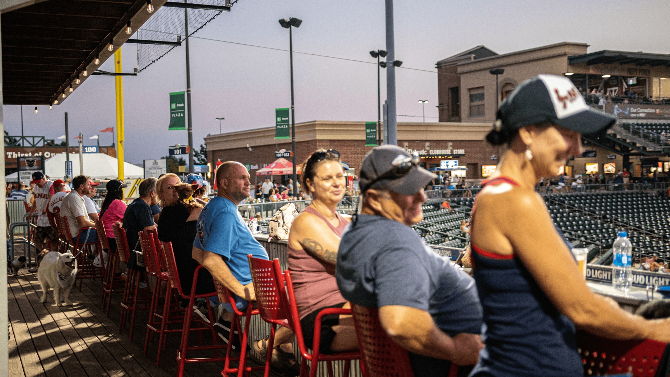 Ironpigs bacon hat on sale