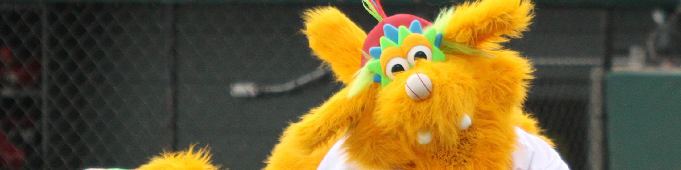 Disfraz Cientifico Disfraz Halloween Medico Loco Disfraz De Científico Loco  Para Hombre Envío 24h, image size:2208x552