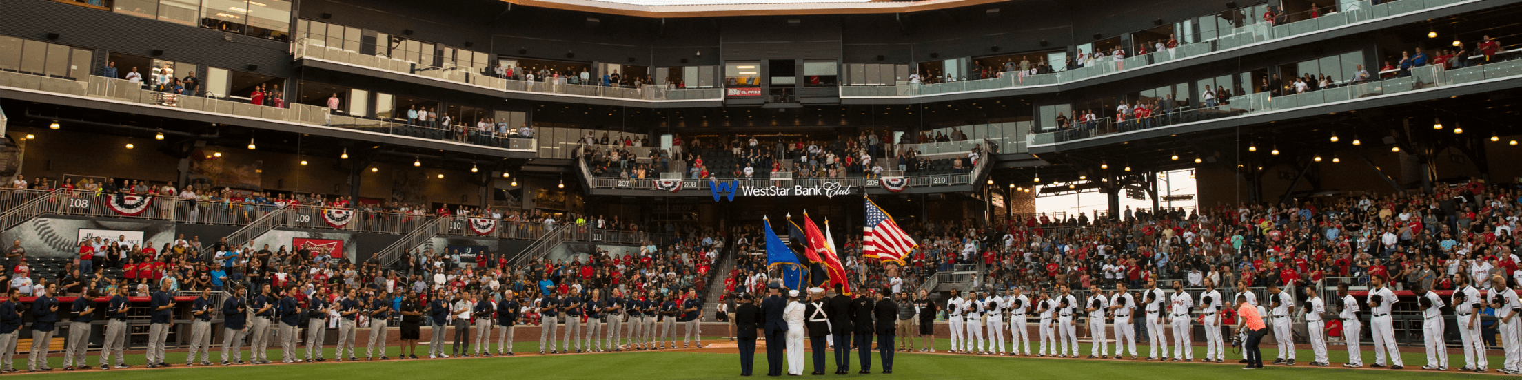 Ballpark Guidelines | Chihuahuas