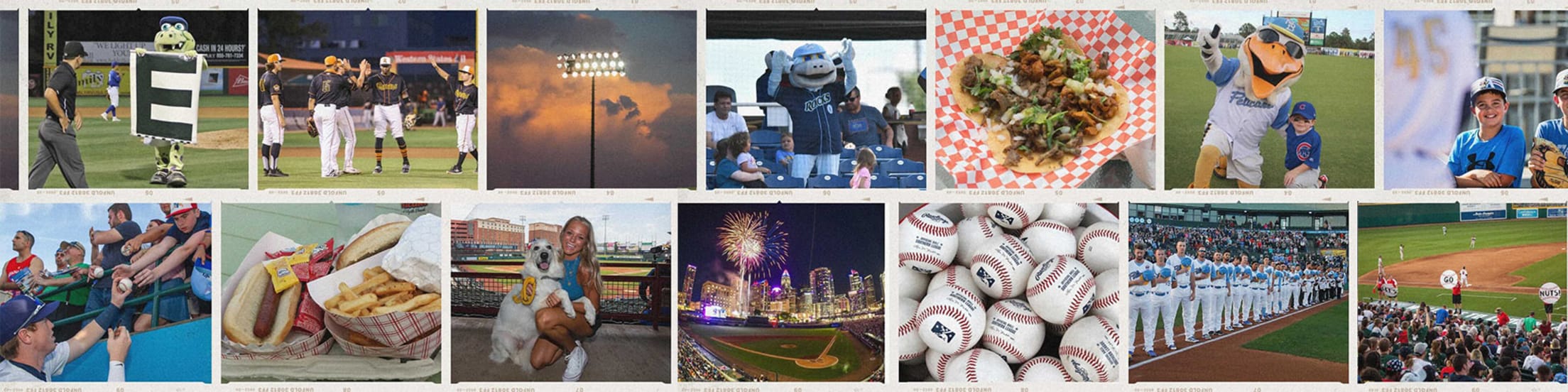 Minor League Ballpark Guides | MiLB.com