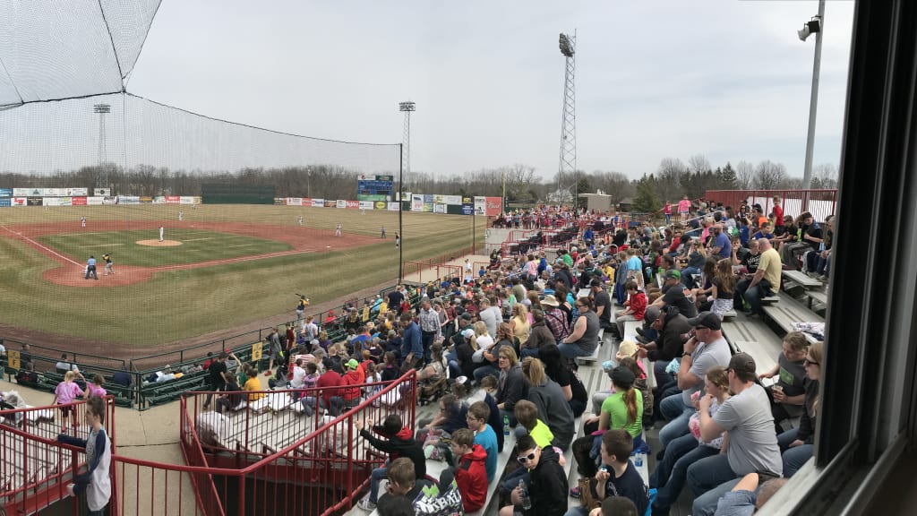 Burlington Bees