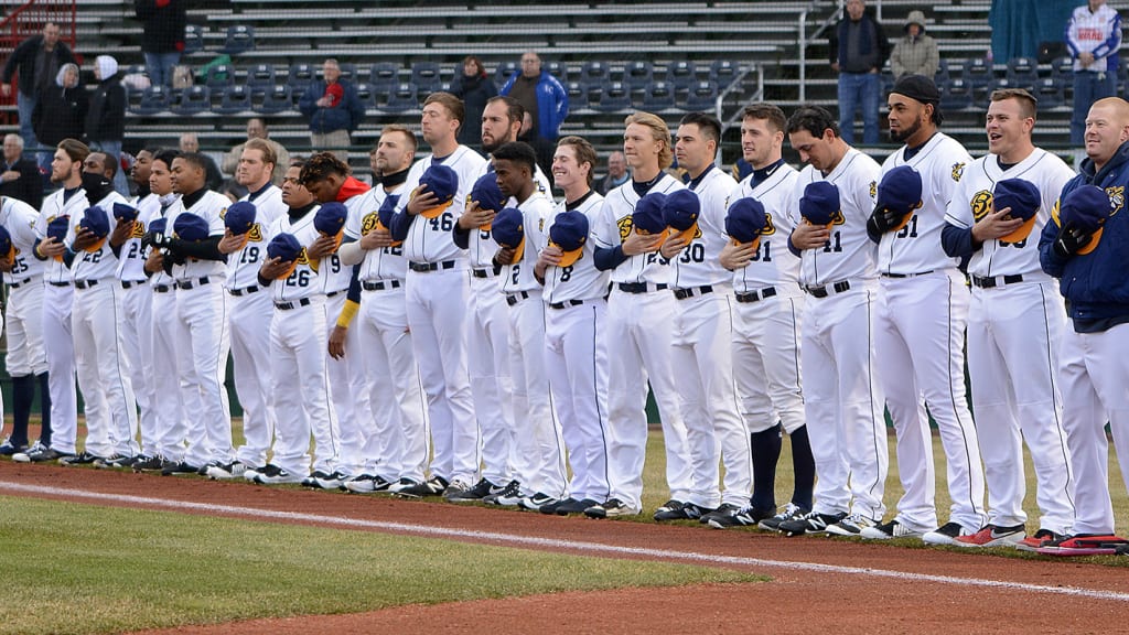 Burlington Bees