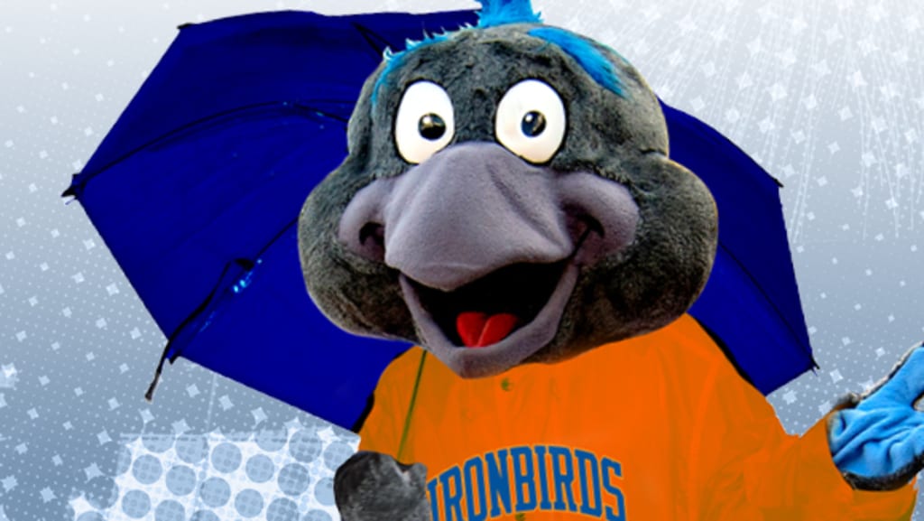 Leidos Field at Ripken Stadium IronBirds