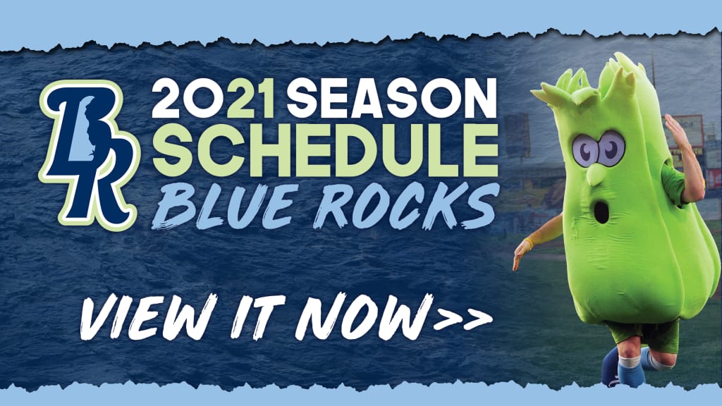 Wilmington Blue Rocks