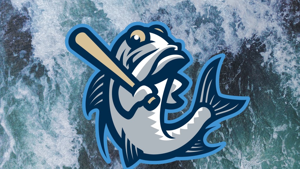 Tampa Tarpons | MiLB.com