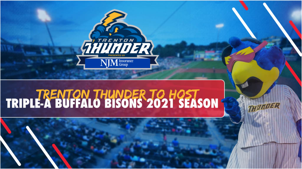 trenton thunder shop