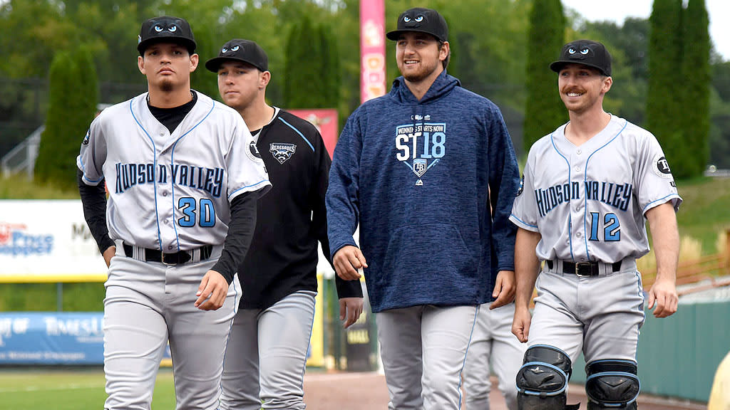 Hudson Valley Volkswagen Hudson Valley Renegades ticket options | Renegades