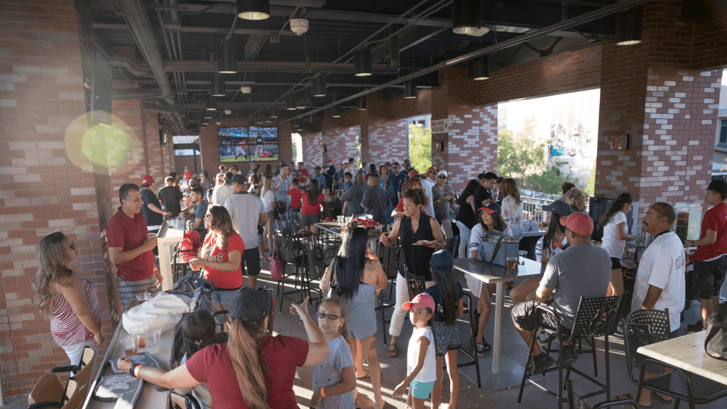 Premium Hospitality Areas | Chihuahuas