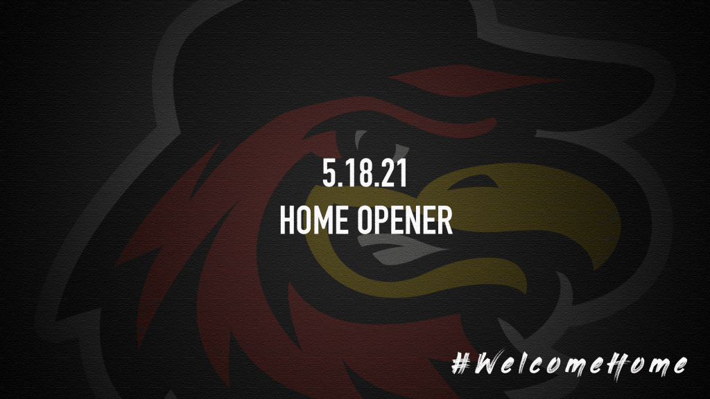 red wings team store