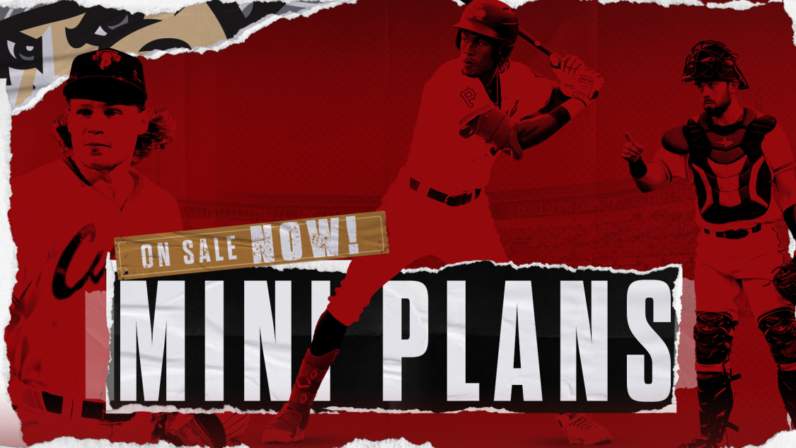 Altoona Curve Mini Plans Curve