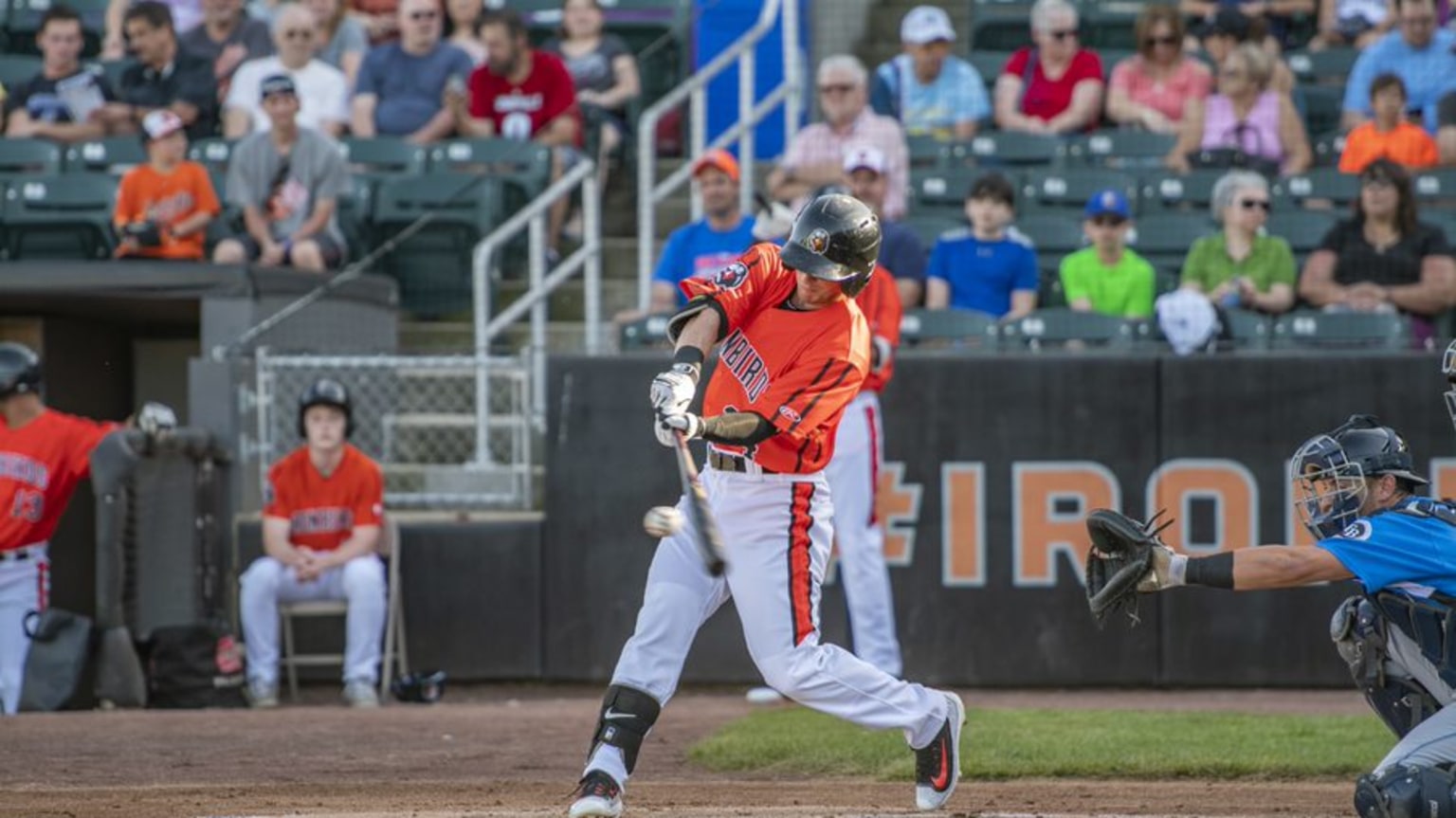 Ironbirds Schedule 2025 Roster