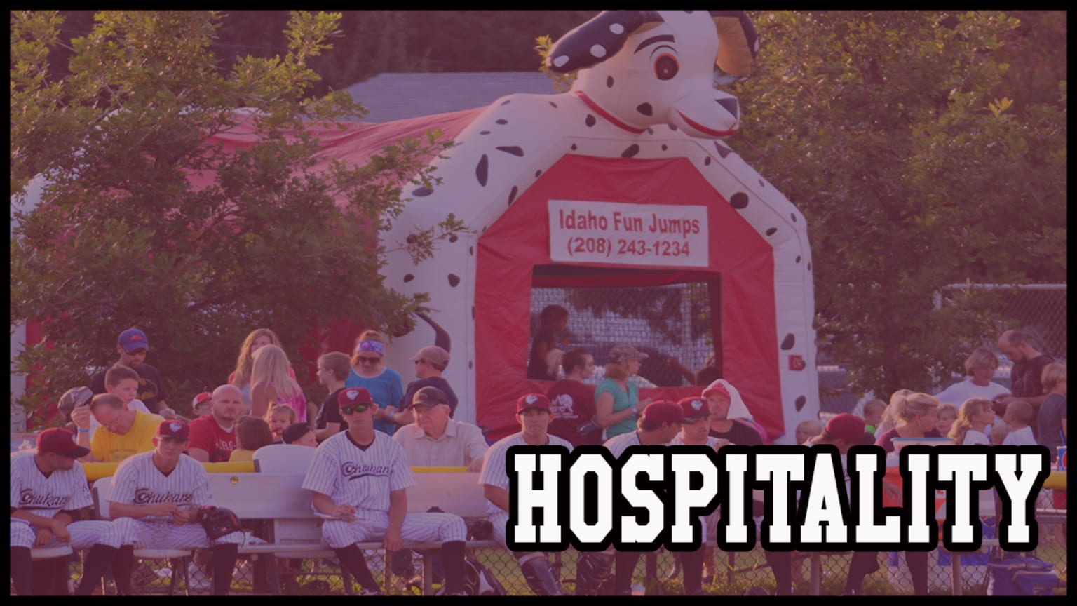 Idaho Falls Chukars