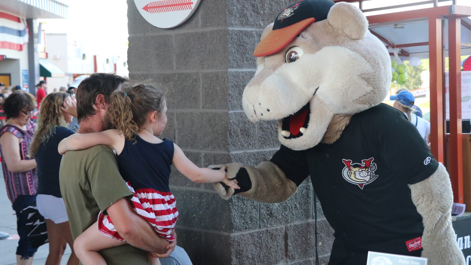 TriCity ValleyCats Tickets ValleyCats
