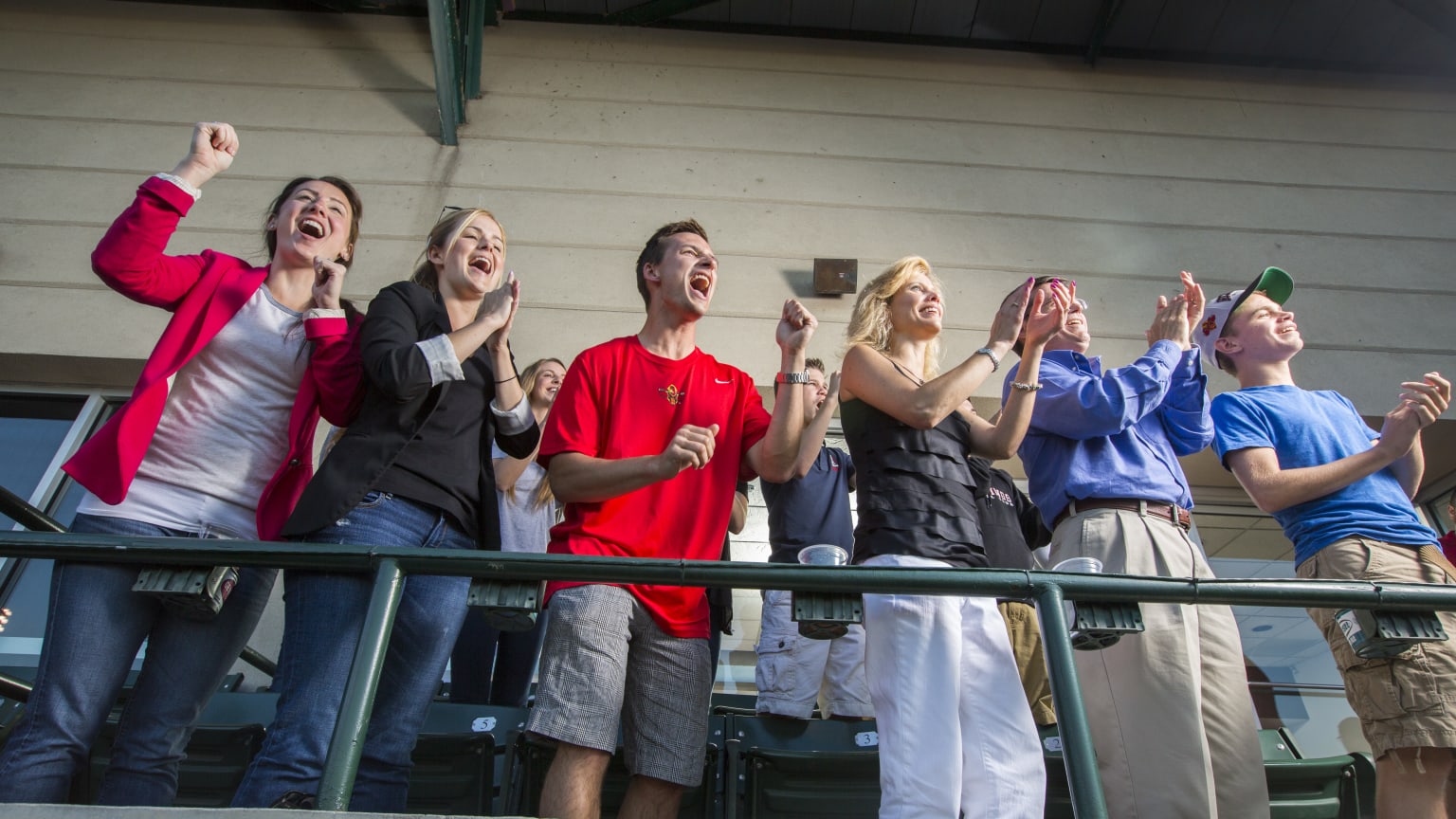 Ticket Options Red Wings