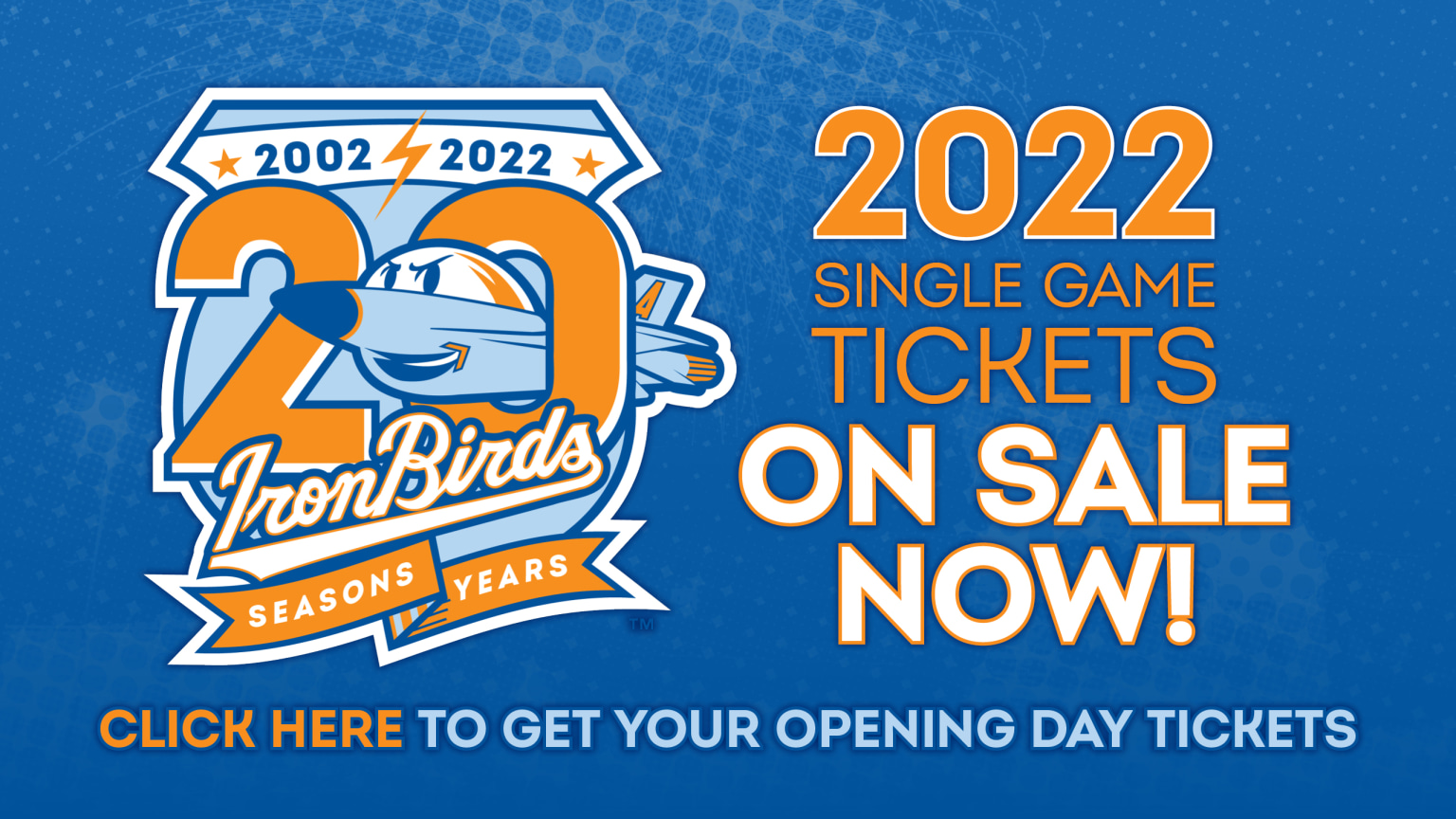 Aberdeen IronBirds