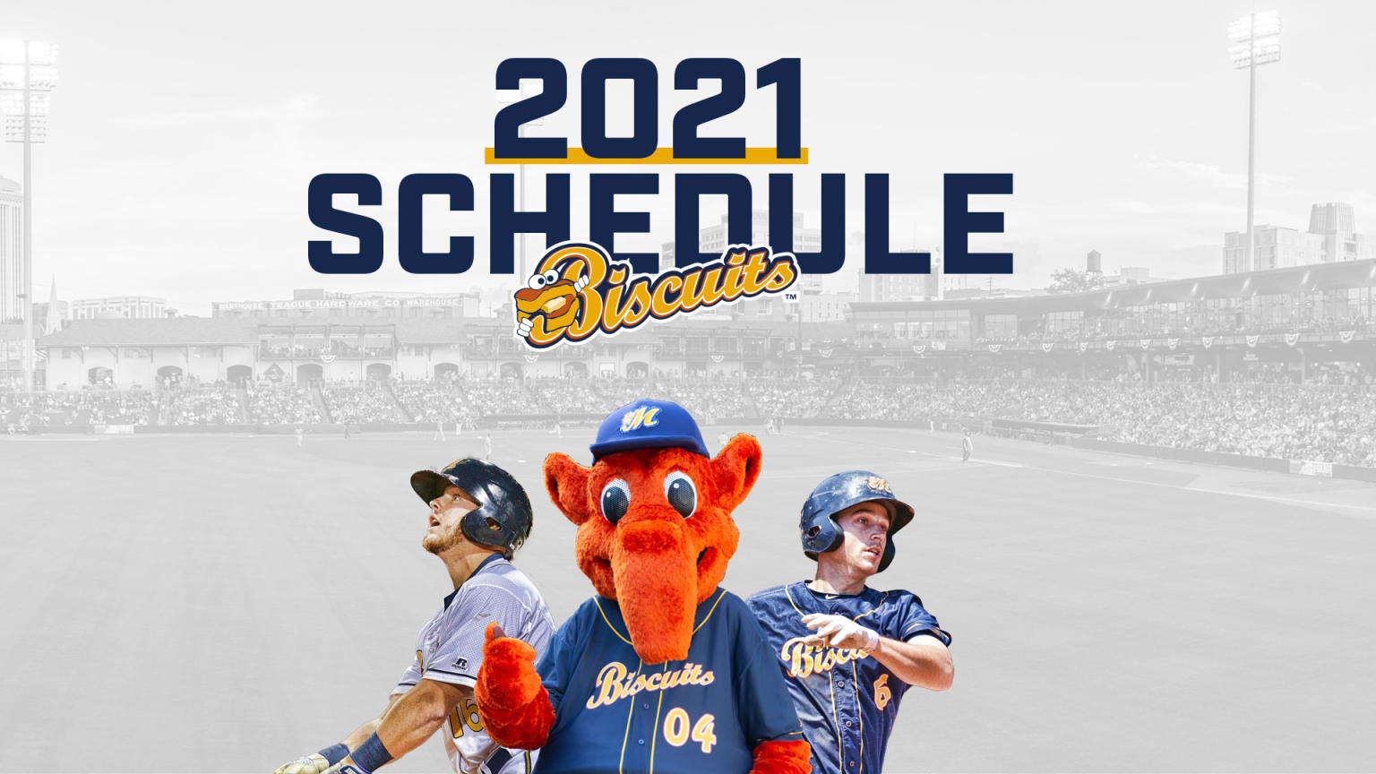 Montgomery Biscuits